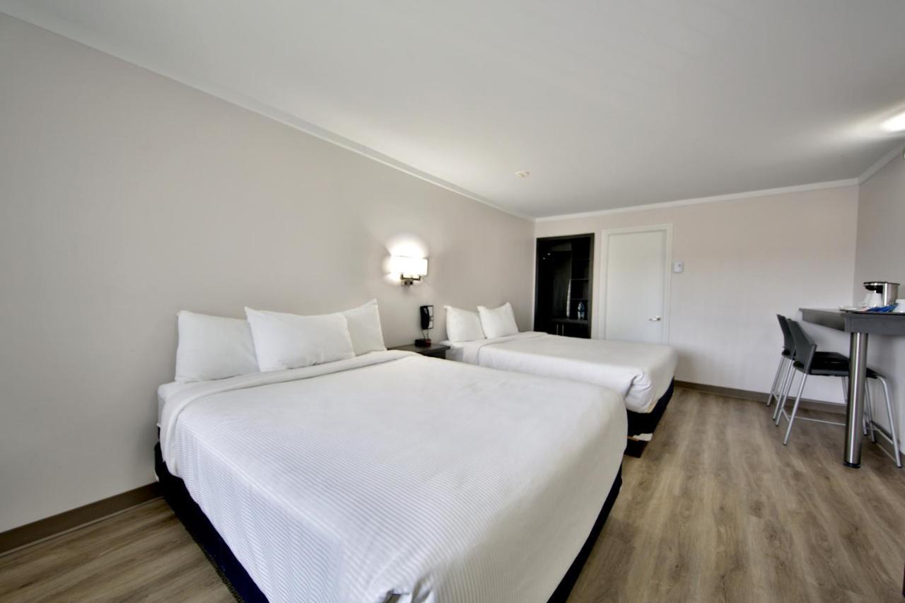 Motel Newstar לאוול מראה חיצוני תמונה